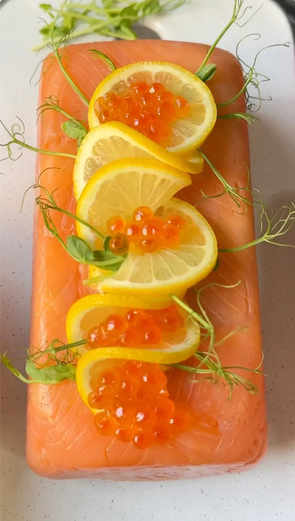 Terrine Smoked Salmon
